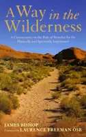 Cesta na poušti - Komentář k Benediktově řeholi pro tělesně a duchovně uvězněné - Way in the Wilderness - A Commentary on the Rule of Benedict for the Physically and Spiritually Imprisoned