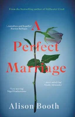 Dokonalé manželství - Perfect Marriage