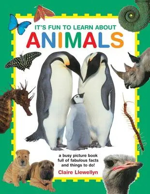 Je zábavné učit se o zvířatech: Poutavá obrázková knížka plná báječných faktů a úkolů! - It's Fun to Learn about Animals: A Busy Picture Book Full of Fabulous Facts and Things to Do!