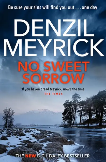 Žádný sladký smutek - Thriller z prostředí D.C.I. Daleyho - No Sweet Sorrow - A D.C.I. Daley Thriller