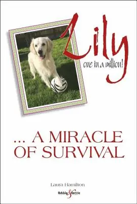 Lily: Jedna z milionu: ... zázrak přežití - Lily: One in a Million: ... a Miracle of Survival