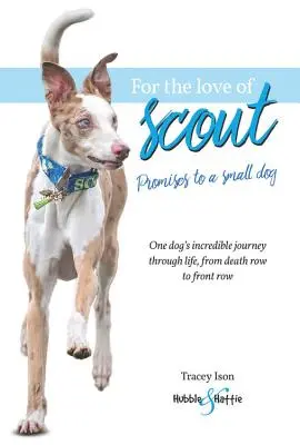 Z lásky ke skautům: Sliby malému psovi - For the Love of Scout: Promises to a Small Dog