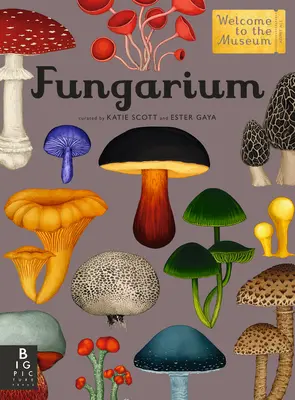 Fungarium: Vítejte v muzeu - Fungarium: Welcome to the Museum