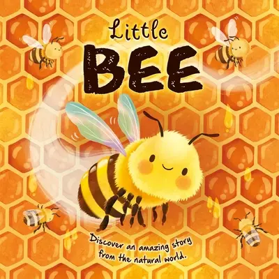 Příběhy z přírody: Včelička: Včelička: polstrovaná desková knížka - Nature Stories: Little Bee: Padded Board Book