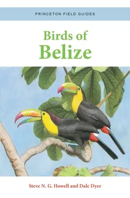 Ptáci Belize - Birds of Belize