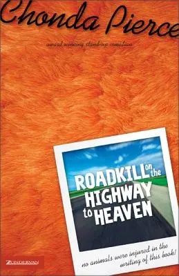 Zabití na dálnici do nebe - Roadkill on the Highway to Heaven
