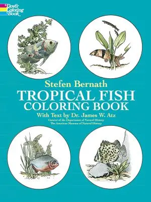 Omalovánky tropických ryb - Tropical Fish Coloring Book