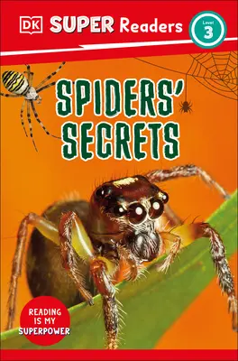 DK Super Readers Level 3 Tajemství pavouků - DK Super Readers Level 3 Spiders' Secrets