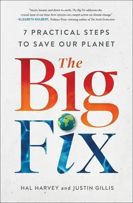 Velká náprava: Sedm praktických kroků k záchraně naší planety - The Big Fix: Seven Practical Steps to Save Our Planet