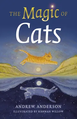 Magie koček - The Magic of Cats