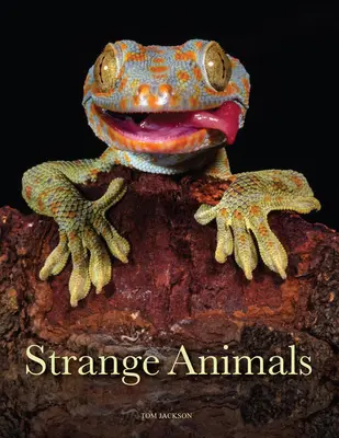 Podivná zvířata - Strange Animals