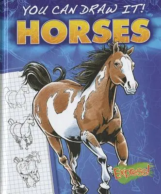Koně - Horses
