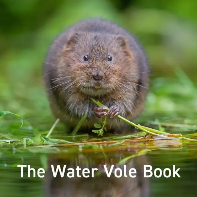 Kniha o vodní hraboši - Water Vole Book