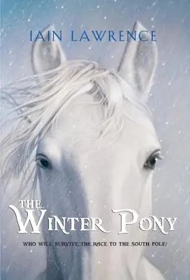Zimní poník - The Winter Pony