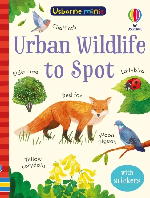 Městská divoká příroda k pozorování - Urban Wildlife to Spot
