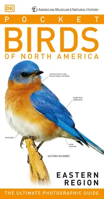 Amnh Kapesní ptáci východní oblasti Severní Ameriky - Amnh Pocket Birds of North America Eastern Region