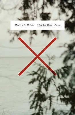 Po čem toužíš: Básně: - What You Want: Poems