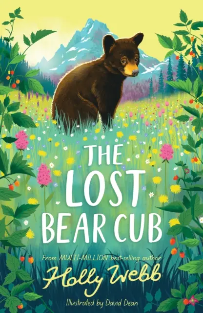 Ztracené medvědí mládě - Lost Bear Cub