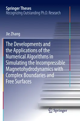 Vývoj a aplikace numerických algoritmů při simulaci nestlačitelné magnetohydrodynamiky se složitými hranicemi a ot. - The Developments and the Applications of the Numerical Algorithms in Simulating the Incompressible Magnetohydrodynamics with Complex Boundaries and Fr