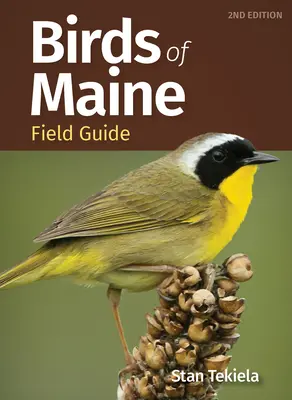 Terénní průvodce ptáky státu Maine - Birds of Maine Field Guide