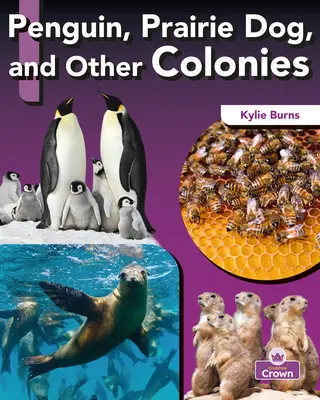 Tučňák, prérie a další kolonie - Penguin, Prairie Dog, and Other Colonies