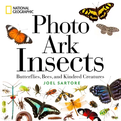National Geographic Foto archa Hmyz: Geographic National Geographic: Motýli, včely a příbuzná stvoření. - National Geographic Photo Ark Insects: Butterflies, Bees, and Kindred Creatures