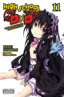 High School DXD, díl 11 (Light Novel) - High School DXD, Vol. 11 (Light Novel)