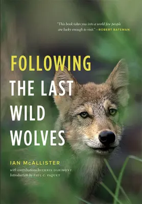 Za posledními divokými vlky - Following the Last Wild Wolves