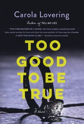 Příliš dobré na to, aby to byla pravda - Too Good to Be True