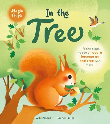 Na stromě: Knížka s kouzelnými klapkami - In the Tree: A Magic Flaps Book
