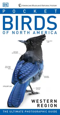 Amnh Kapesní ptáci západní oblasti Severní Ameriky - Amnh Pocket Birds of North America Western Region