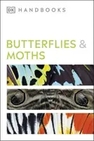 Motýli a můry - Butterflies and Moths