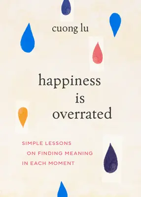 Štěstí se přeceňuje: Jednoduché lekce, jak najít smysl v každém okamžiku - Happiness Is Overrated: Simple Lessons on Finding Meaning in Each Moment