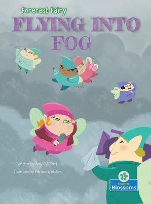 Létat v mlze - Flying Into Fog