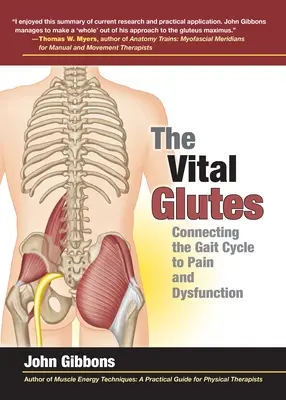 Životně důležité hýždě: Propojení cyklu chůze s bolestí a dysfunkcí - The Vital Glutes: Connecting the Gait Cycle to Pain and Dysfunction