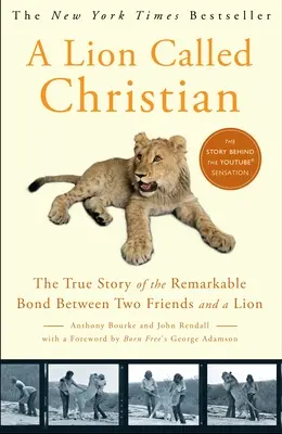 Lev zvaný křesťan - A Lion Called Christian