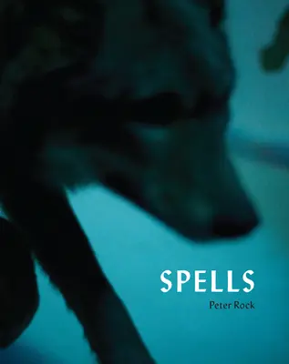Kouzla: Román ve fotografiích - Spells: A Novel Within Photographs