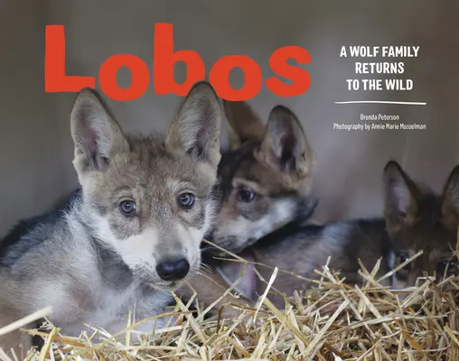 Lobos: Vlčí rodina se vrací do divočiny - Lobos: A Wolf Family Returns to the Wild