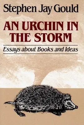 Ježek v bouři: Eseje o knihách a myšlenkách - Urchin in the Storm: Essays about Books and Ideas