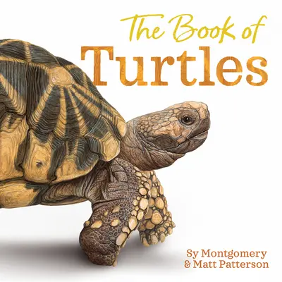 Kniha o želvách - The Book of Turtles