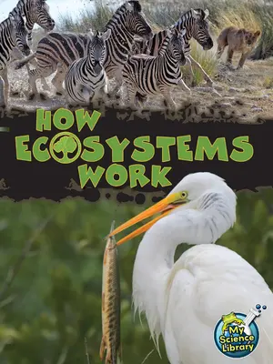 Jak fungují ekosystémy - How Ecosystems Work