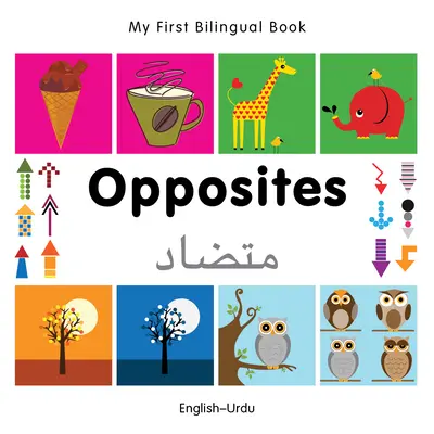 Moje první dvojjazyčná kniha-Opposites (anglicko-urdsky) - My First Bilingual Book-Opposites (English-Urdu)