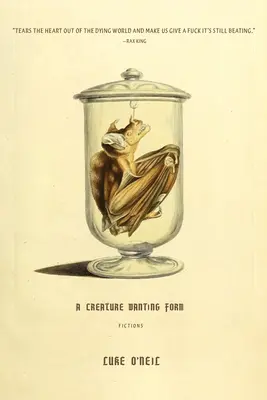 Tvor, který chce mít formu: Fikce - A Creature Wanting Form: Fictions