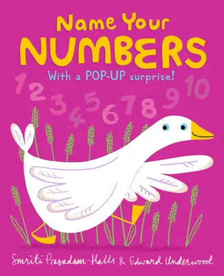 Pojmenujte svá čísla - Name Your Numbers