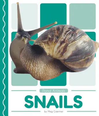 Šneci - Snails
