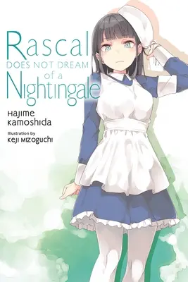 Darebák nesní o slavíkovi (Lehký román) - Rascal Does Not Dream of a Nightingale (Light Novel)
