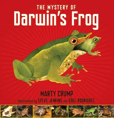 Záhada Darwinovy žáby - The Mystery of Darwin's Frog