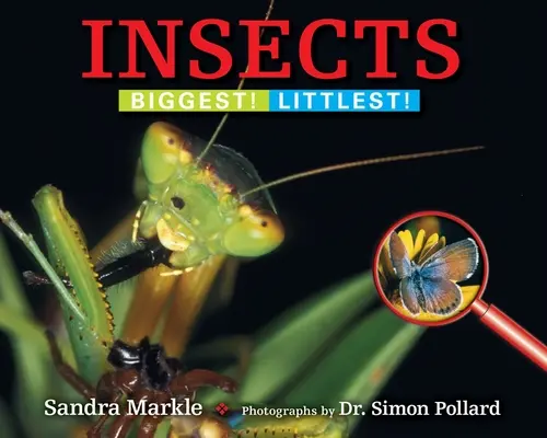 Hmyz: Největší! Nejmenší! - Insects: Biggest! Littlest!