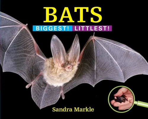 Netopýři: Největší! Nejmenší! - Bats: Biggest! Littlest!