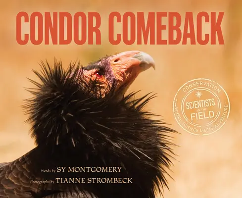 Návrat kondorů - Condor Comeback